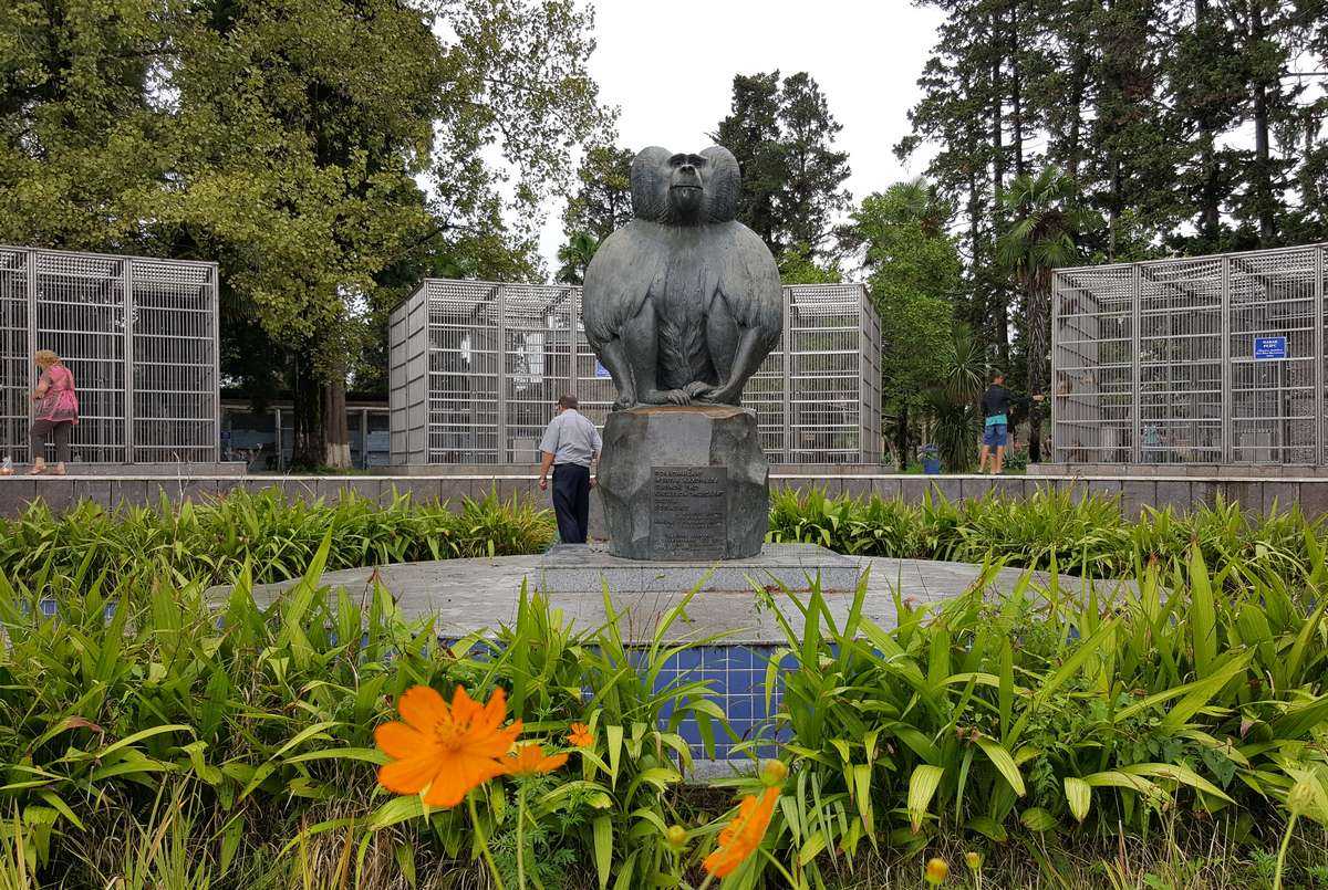 Ботанический сад в Сухуме в Абхазии- достоверное описание и путеводитель для туристов, время работы и цена посещения, советы по осмотру, как добраться  и положение на карте