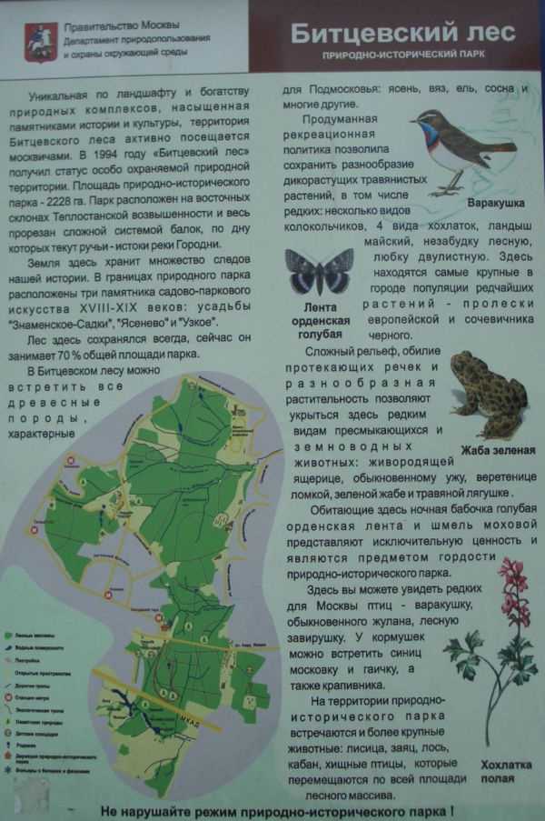 Битцевский лес - wi-ki.ru c комментариями