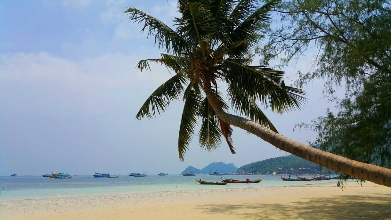 Остров панган в таиланде. фото пангана – 2022 отзывы туристов и форум "ездили-знаем!" * таиланд