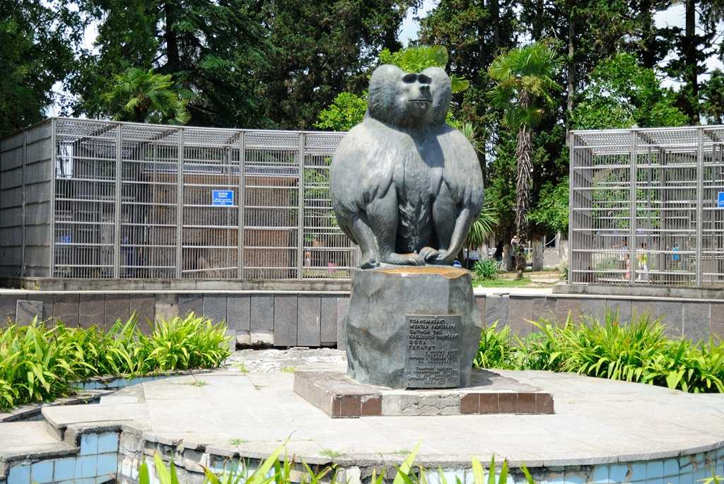 Сухумский ботанический сад: важная и необходимая информация для туристов