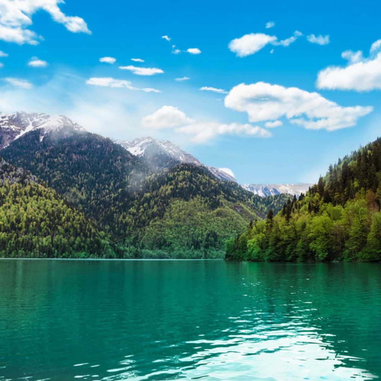 Озеро рица абхазия ⋆ самостоятельное путешествие