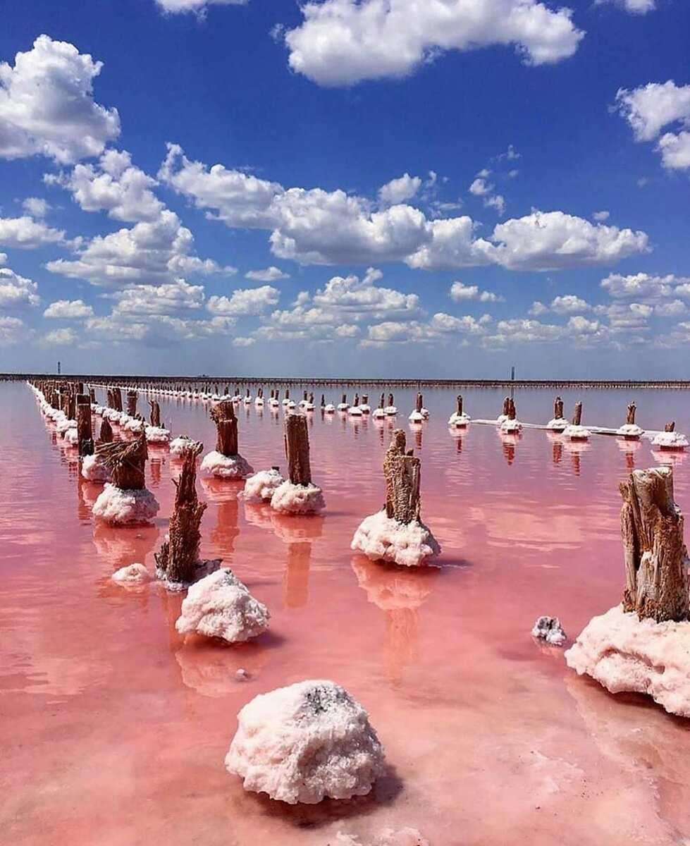 Розовое озеро сасык-сиваш в евпатории (крым): фото с описанием, как добраться, когда розовое.