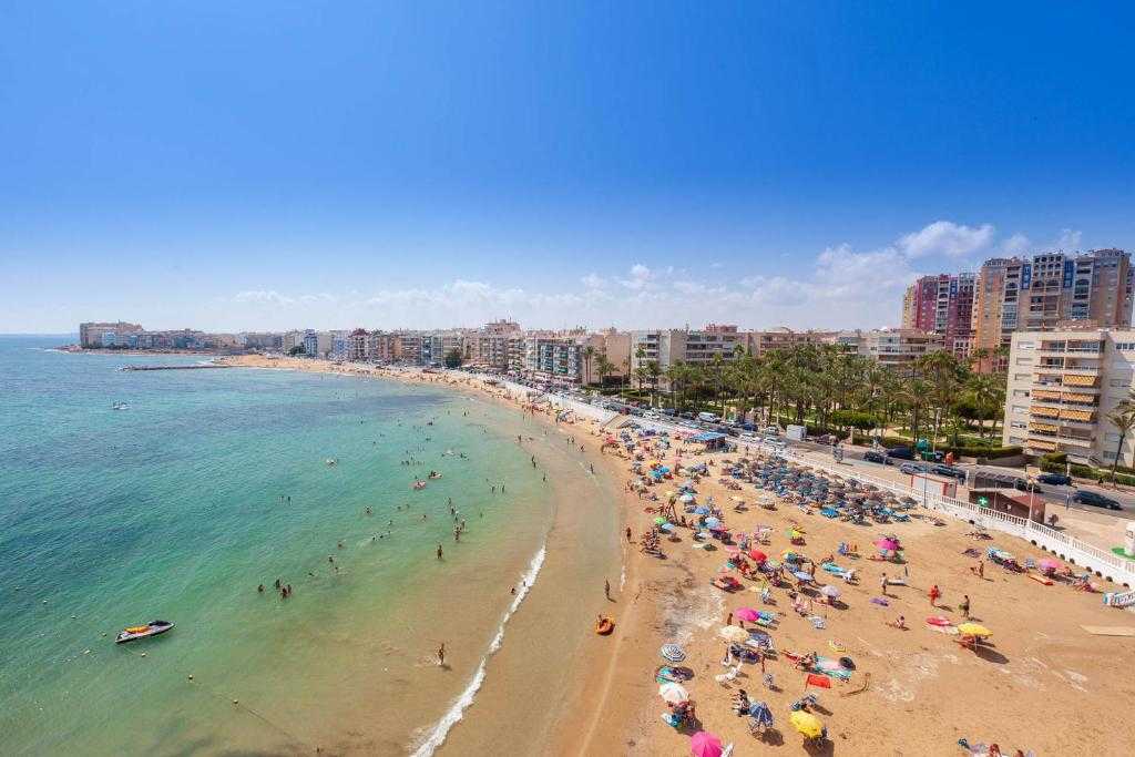 Торревьеха в испании: районы, пляжи, достопримечательности