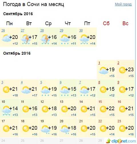 Конец октября какая погода. Погода в Сочи. Температура в Сочи в июне. Погода в Сочи в июне. Погода на сентябрь и октябрь.
