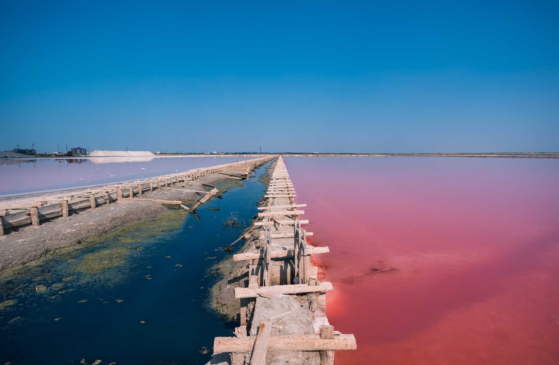 Сасык-сиваш - розовое/лебединое озеро в евпатории