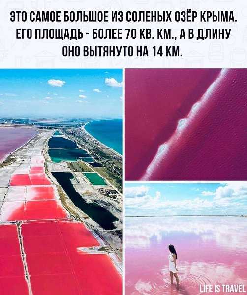 Озеро сасык-сиваш в крыму - когда озеро розовое, как добраться, фото
