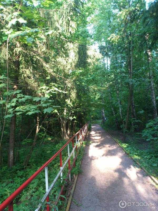 Битцевский лес - один из крупнейших парков Москвы Лес находится на юге города между