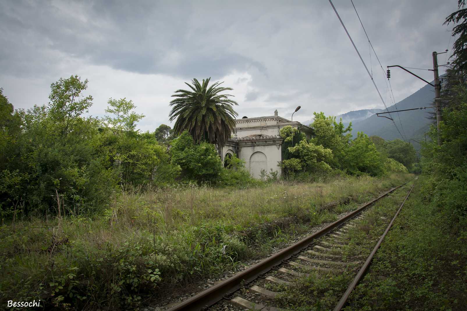 Абхазия за один день: поездка из адлера в солнечную и гостеприимную «страну души»