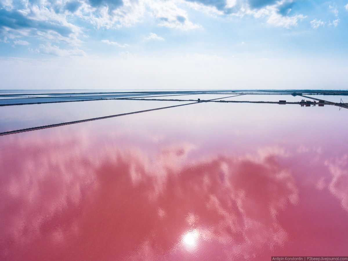 Розовое озеро сасык-сиваш