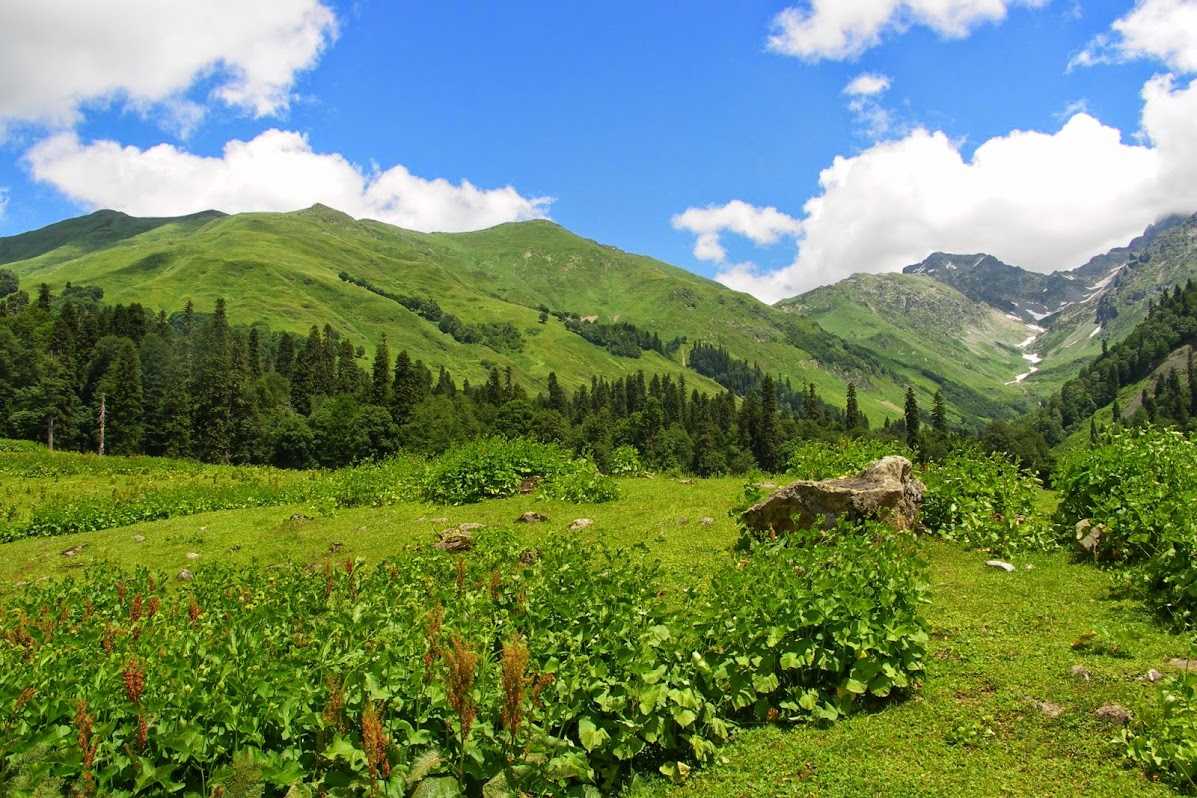 Экскурсионный тур в абхазию "тайна 7 озер". 2022 год