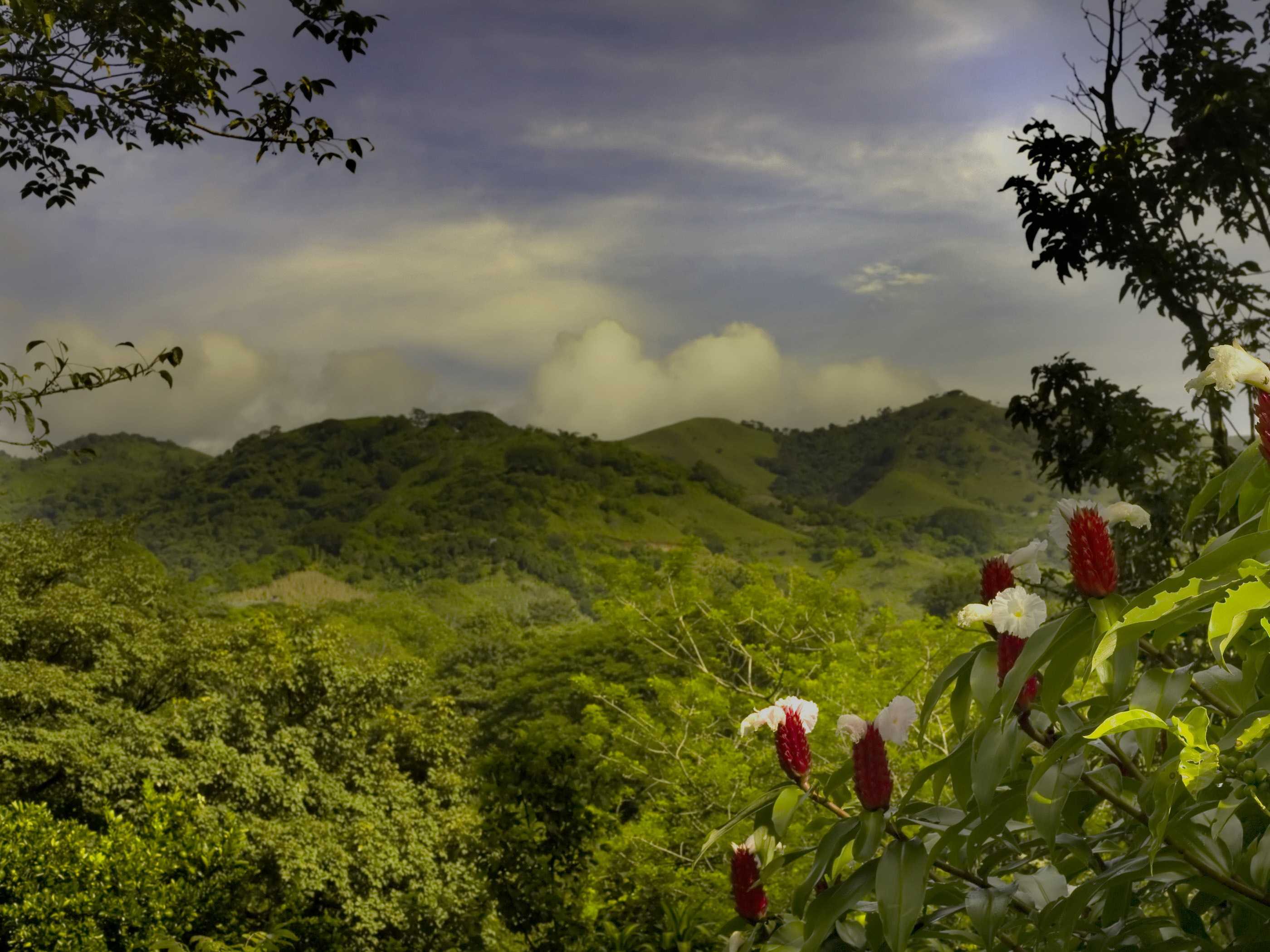 Коста-рика: гид по экзотической стране, похожей на тропический заповедник