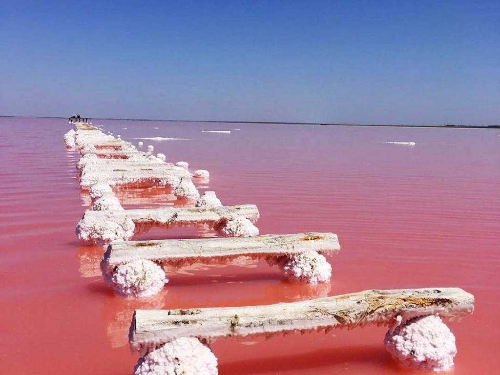 Розовое озеро в крыму - фото, как доехать, отзывы