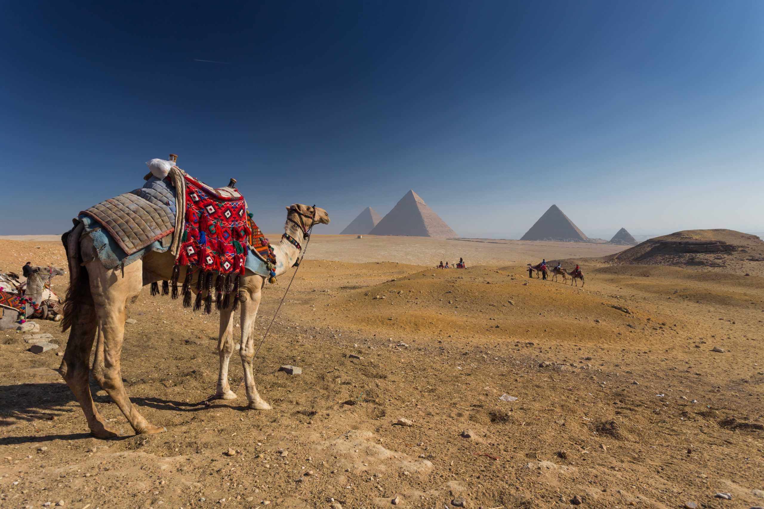 Египет самостоятельно: 7 советов из моей поездки