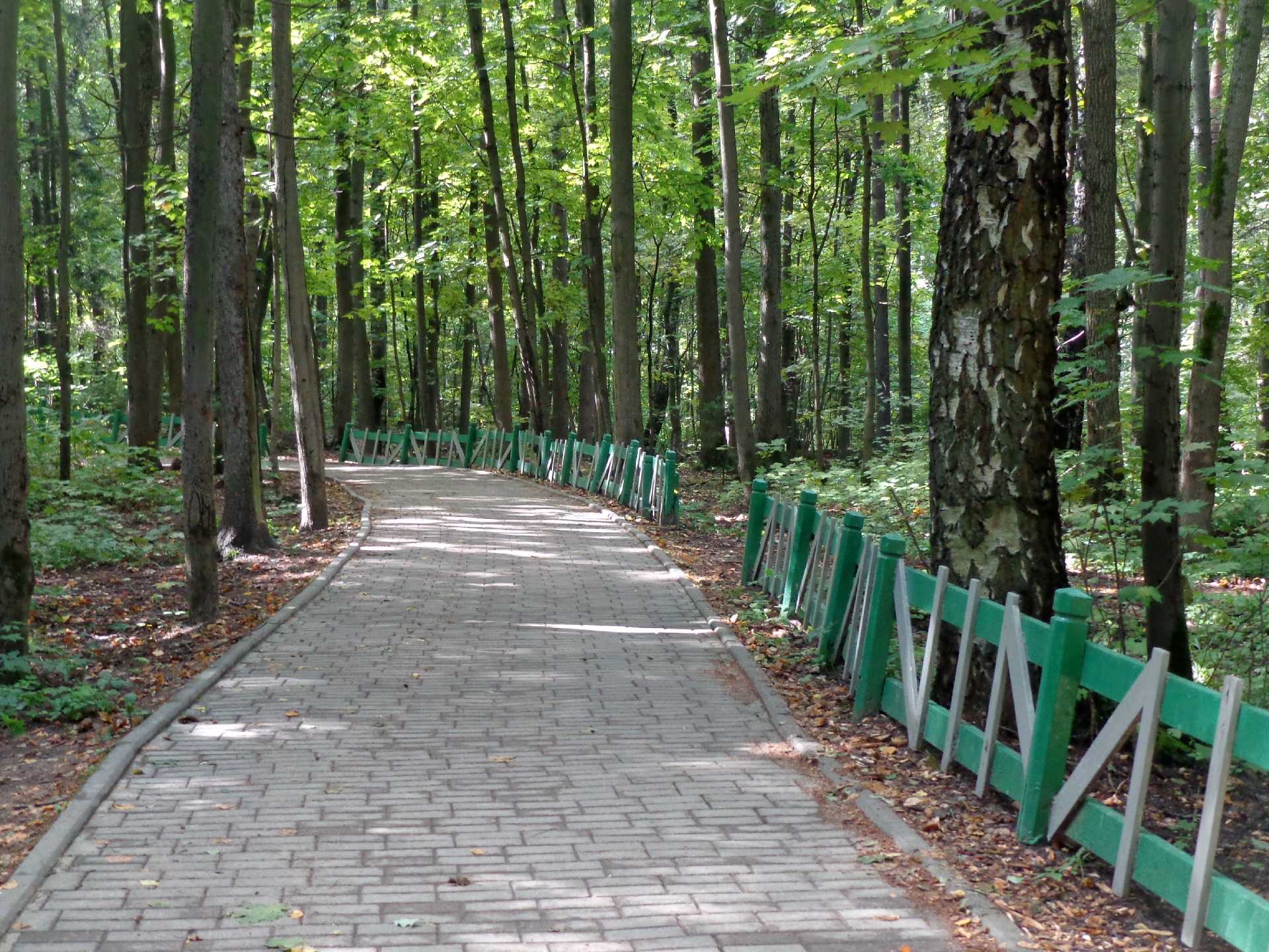 Парк «битцевский лес» | места для лучших прогулок в москве