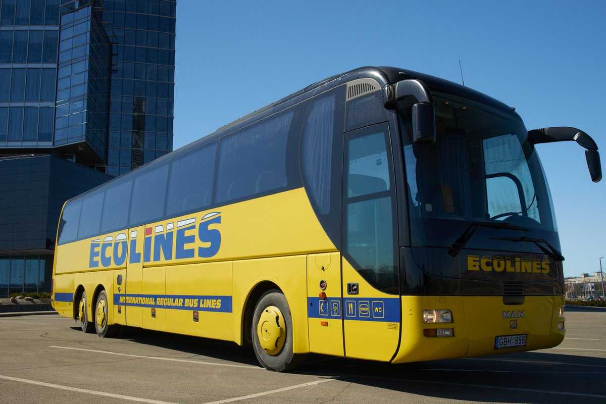 Автобусные перевозчики в латвии, литве, эстонии и по всей европе — travel blog