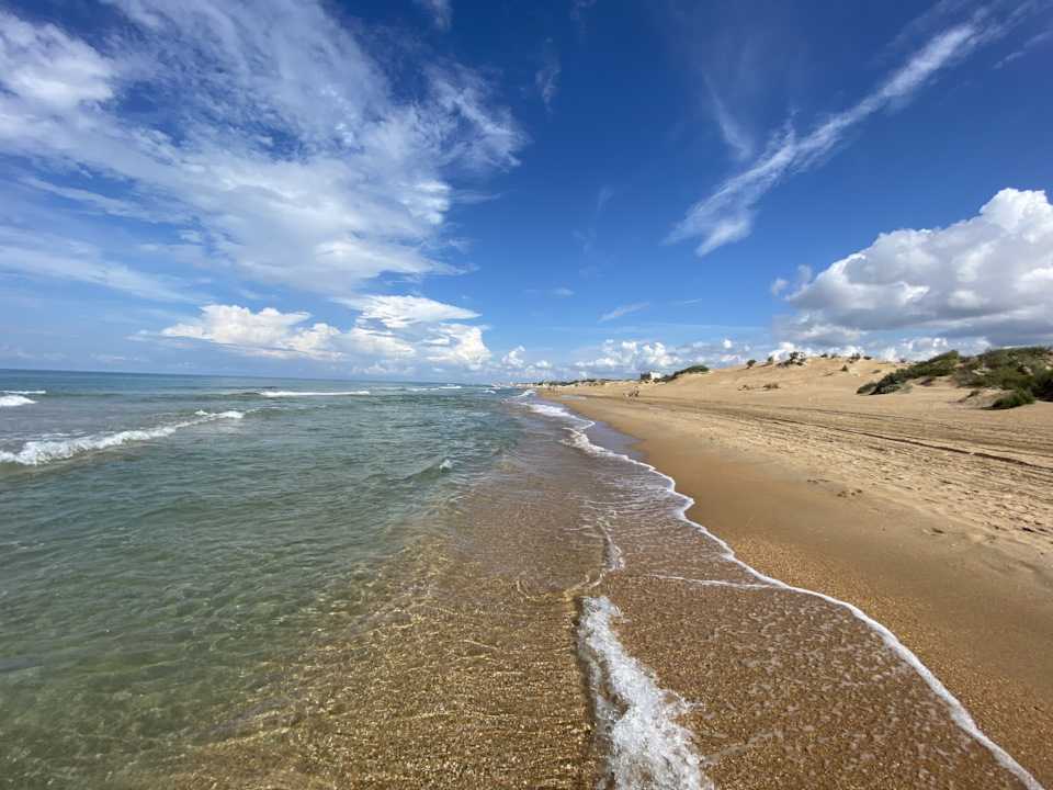Дикие пляжи анапы: где находятся, описание и отзывы :: syl.ru