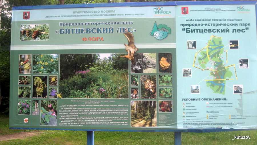 Битцевский парк/ природно-исторический парка «битцевский лес» | родники традиций