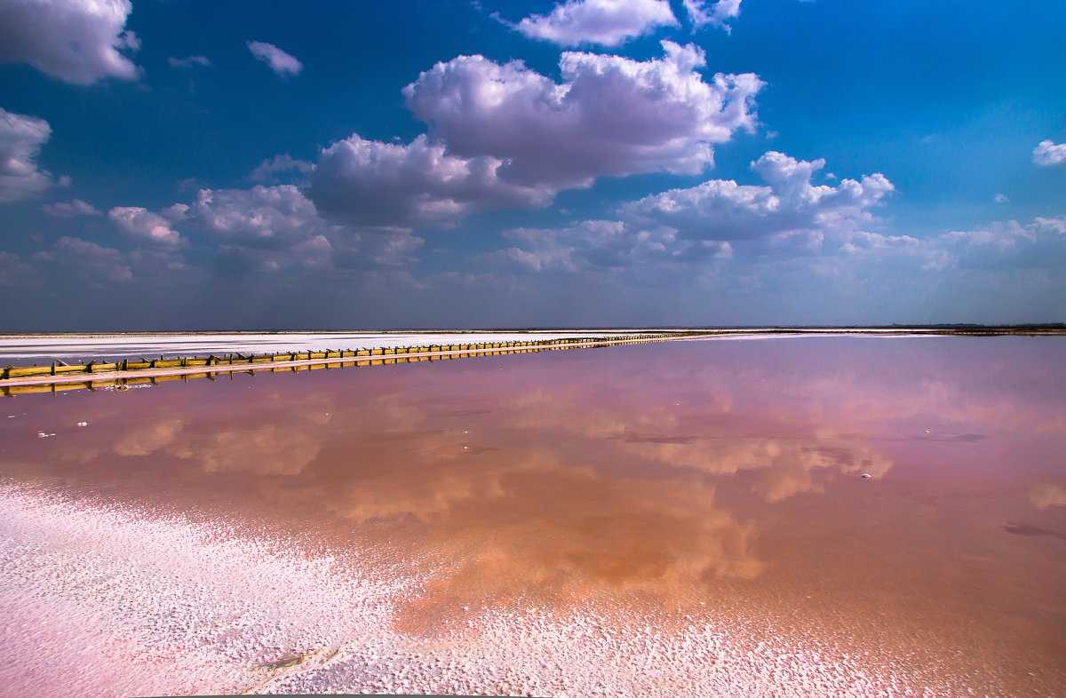 Розовое озеро сасык-сиваш в крыму - когда оно розовое, фото, как добраться