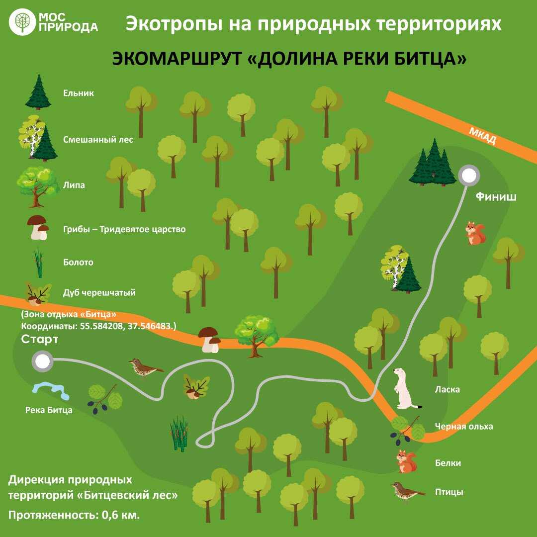 Природный парк "битцевский лес": местоположение, описание, отзывы :: syl.ru