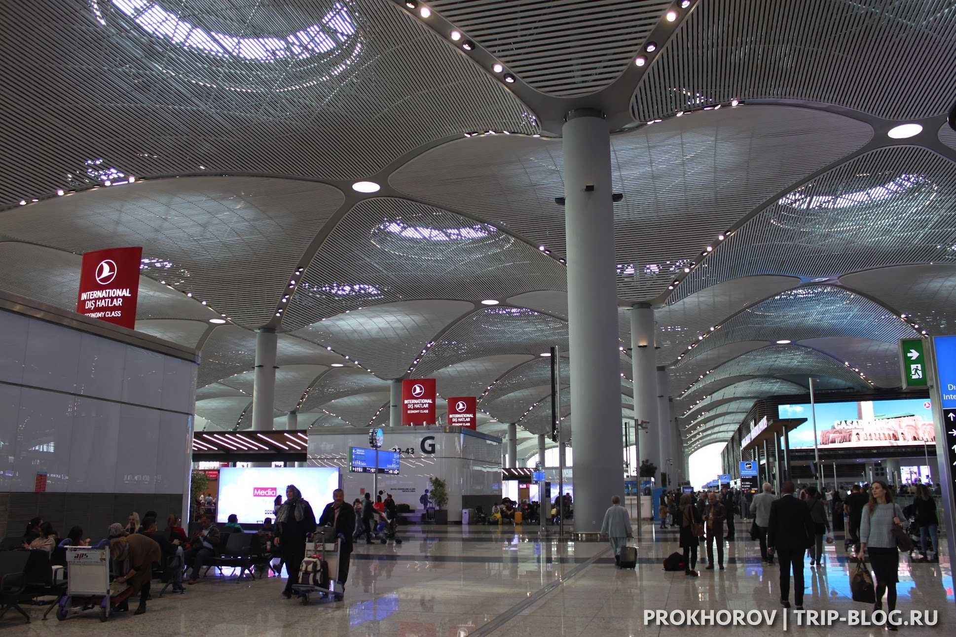 Аэропорт ататюрк в стамбуле: фото и описание, рейсы, услуги и отзывы пассажиров :: syl.ru