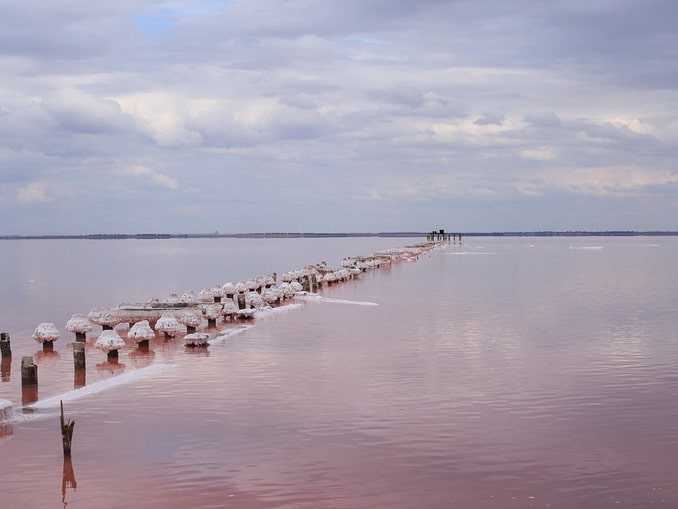 Розовое озеро сасык-сиваш в евпатории: история озера и почему оно розовое