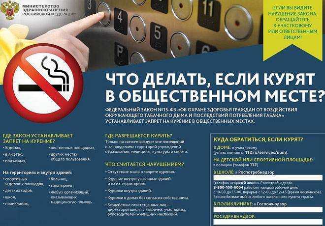 В каких странах запрещены электронные сигареты - yourchoice.ru